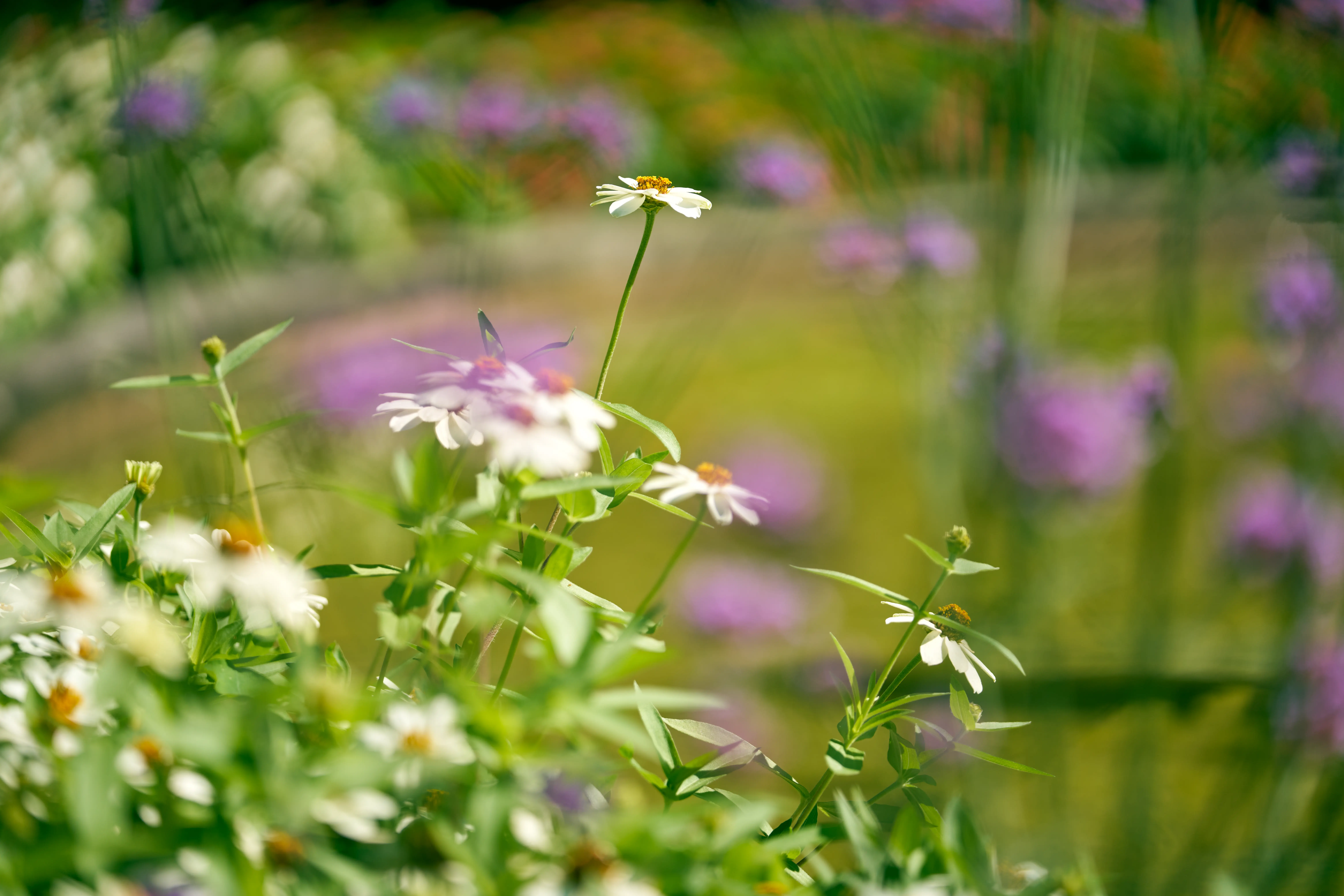 Mind, body and soul treatment approach