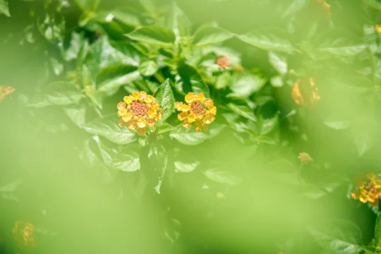 Medical detox facility