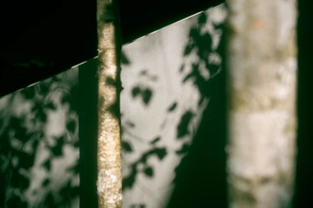 State-of-the-art treatment facility