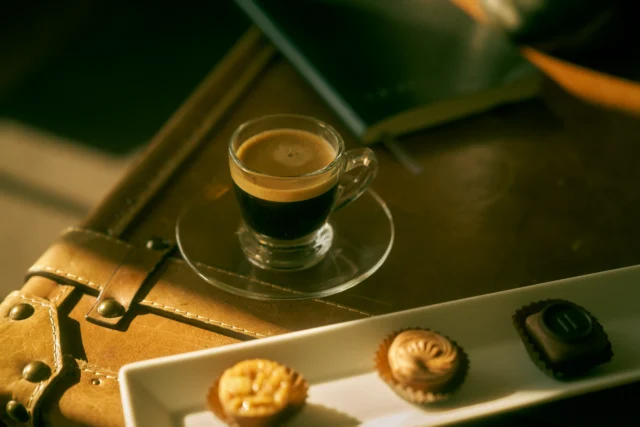 Comprehensive therapeutic environment at Paracelsus Recovery