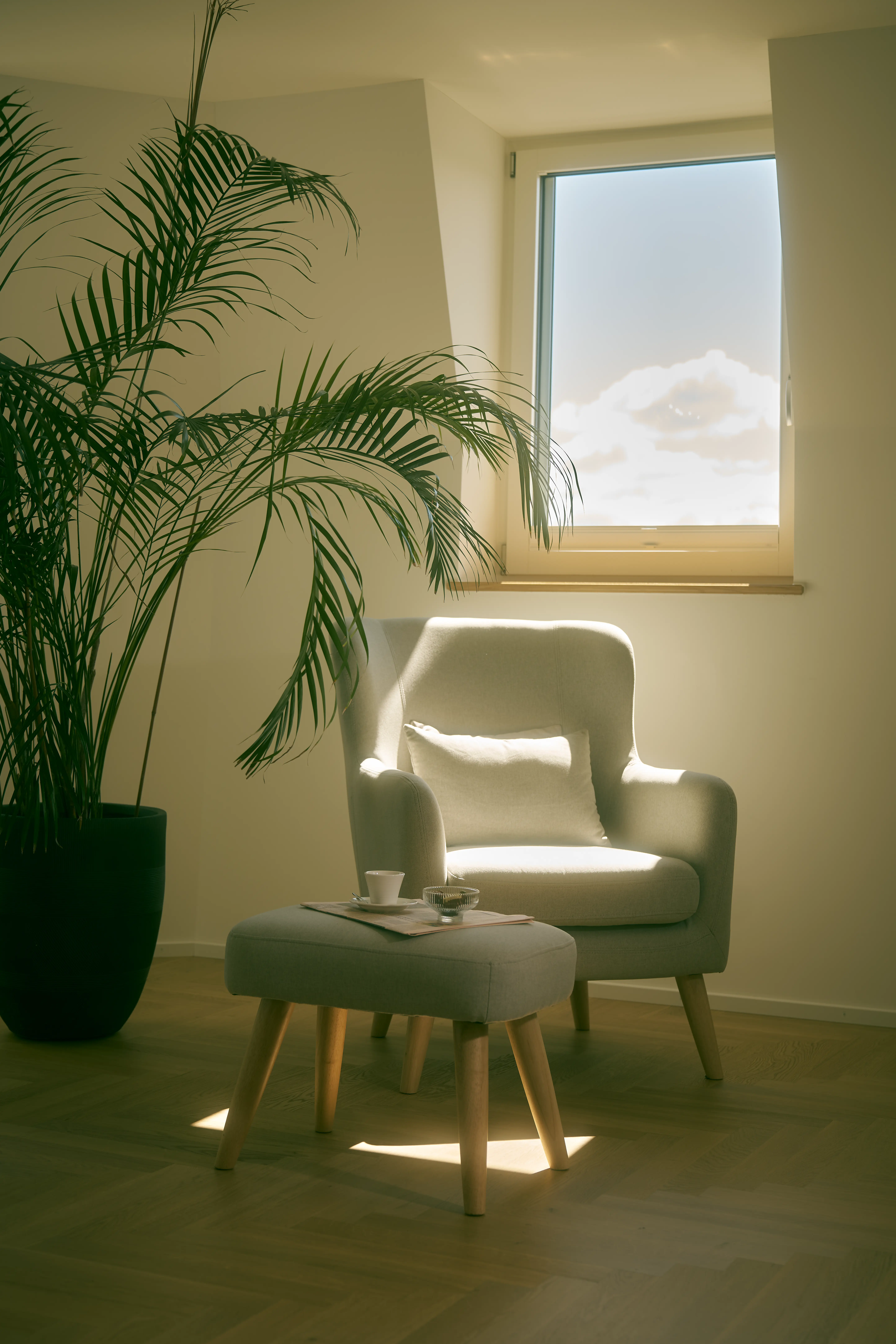 Conditions we treat at Paracelsus Recovery